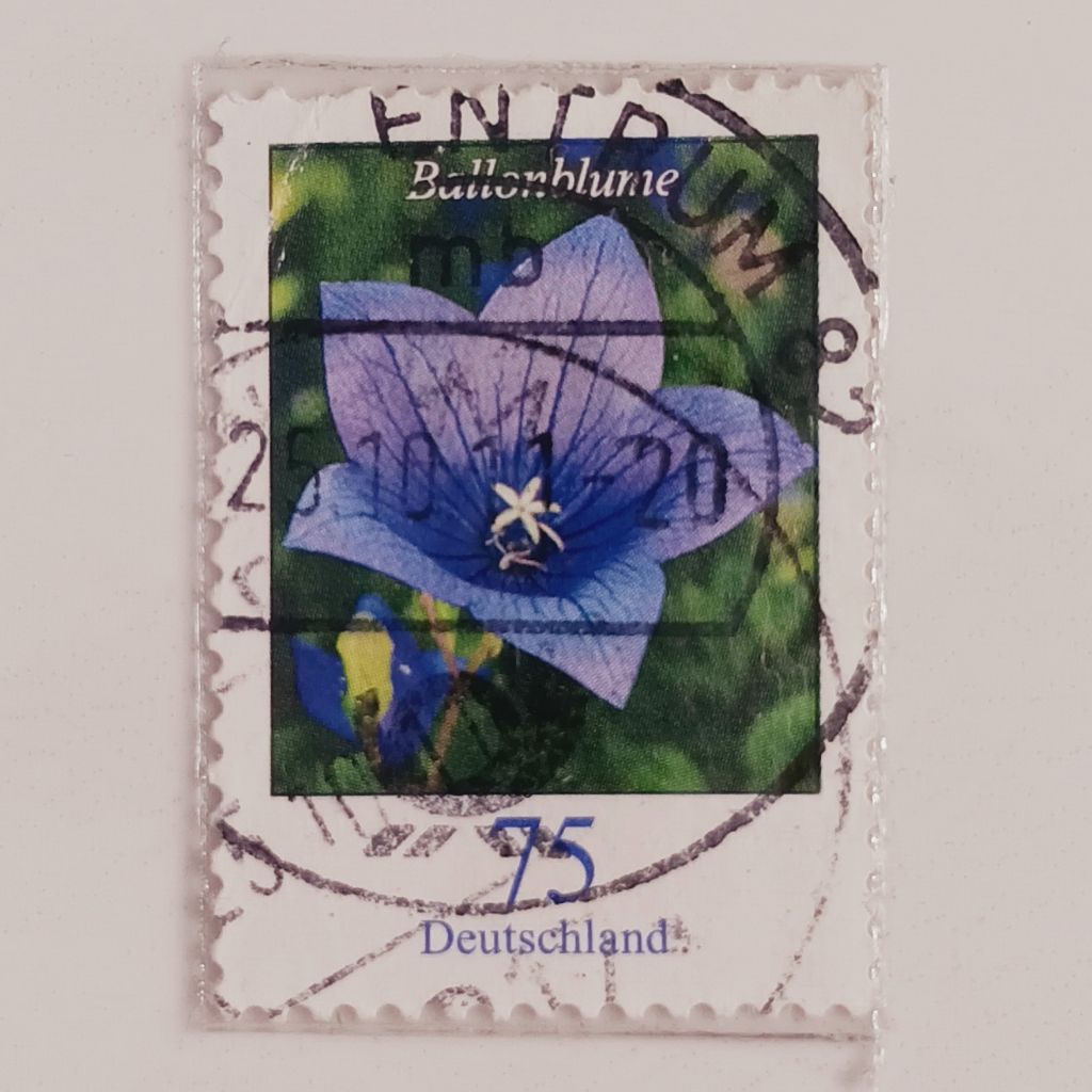 

(AE) Perangko Jerman 2011 Flowers definitives (2005-present) - Platycodon grandiflorus - Balloon flower 75 euro cent Used