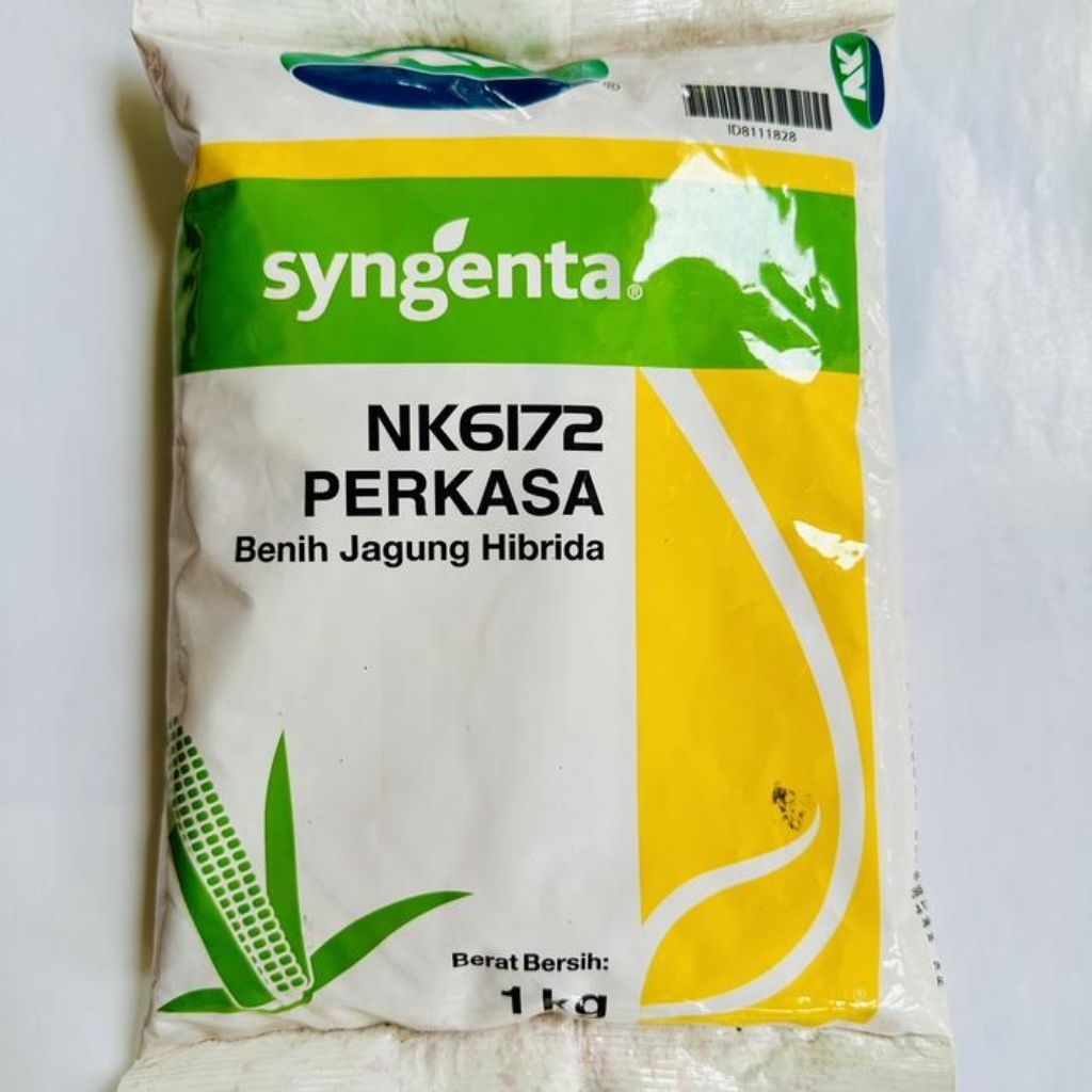 Benih Jagung NK Perkasa 6172 1KG Original