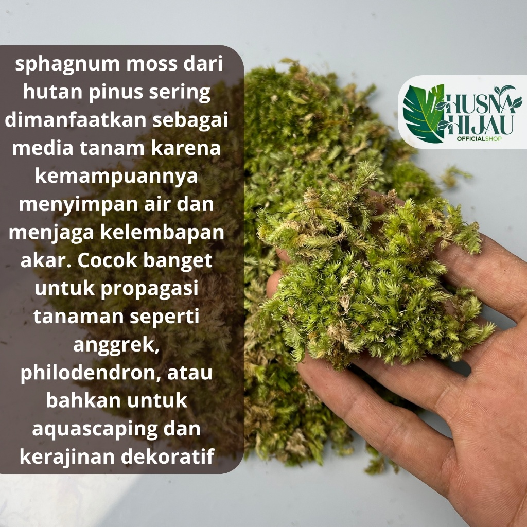 _Adudushop Sphagnum Moss, Kemasan 2&4 Liter Lumut Hidup Hutan Pinus, Lumut Hidup Media Tanam Tanaman