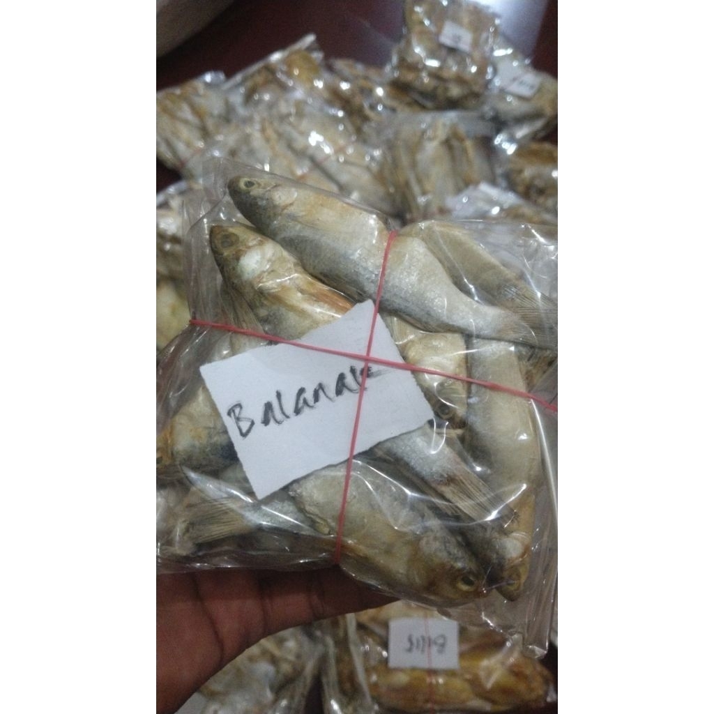 

ikan asin premium jenis balanak