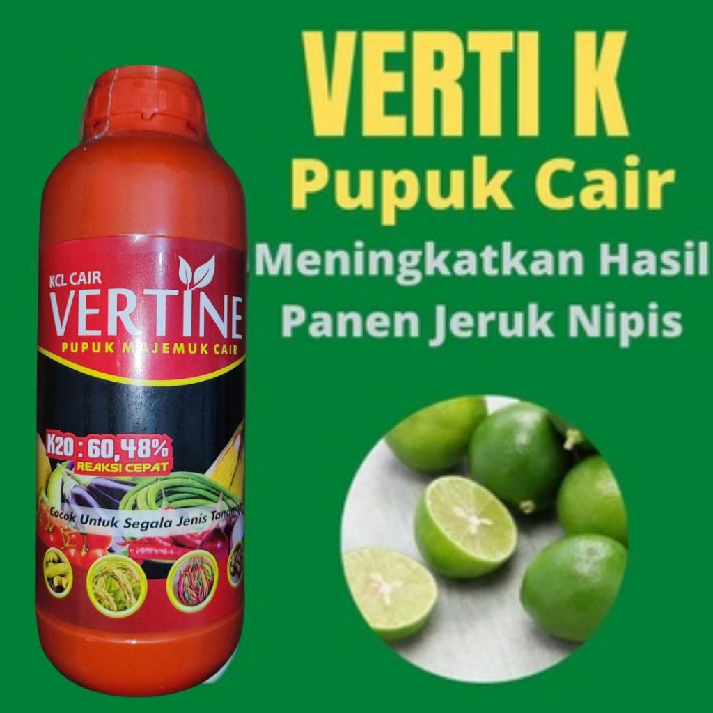 Verti K Pupuk Untuk Jeruk Nipis Agar Berbuah Lebat, Pupuk Agar Jeruk Berbuah Manis