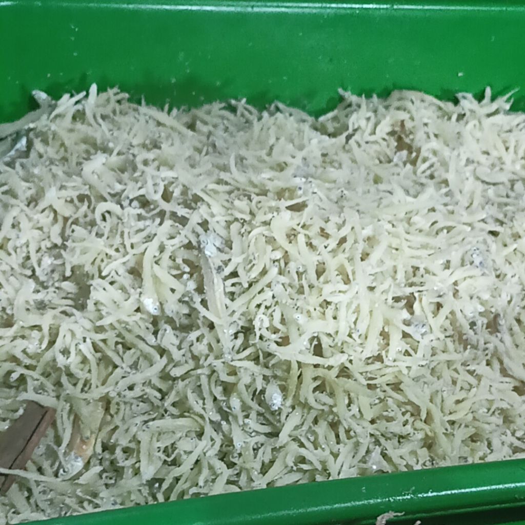 

Teri Medan / Teri Nasi – Gurih, Renyah, dan Serbaguna!