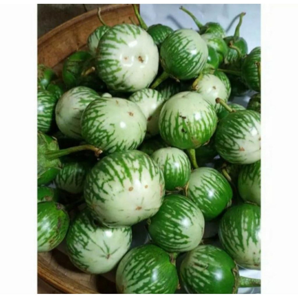 

terong hijau bulat 500gram