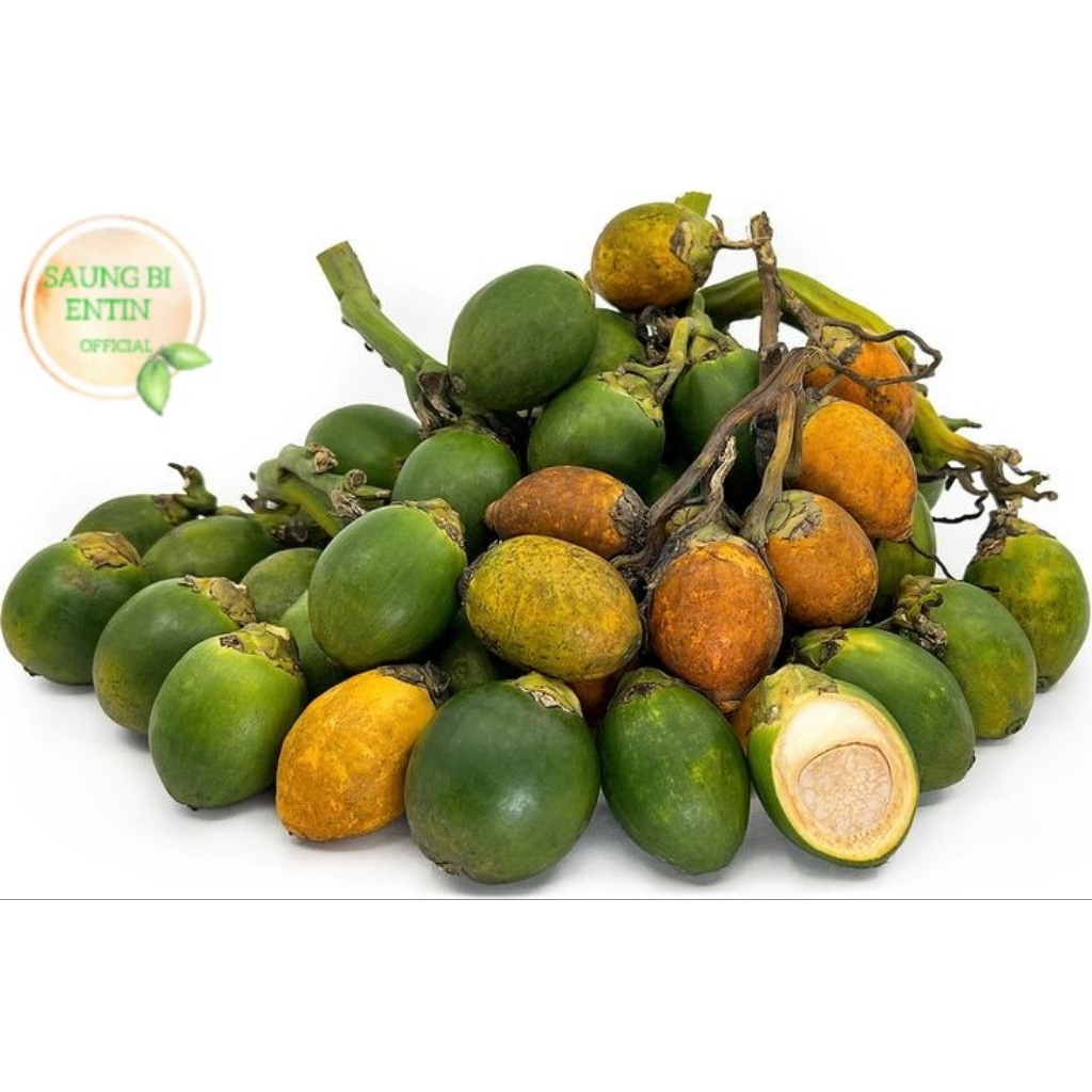 

Buah Pinang Tua Segar Organik 1 Kg Bersih Herbal Alami Obat Kesehatan Mulut