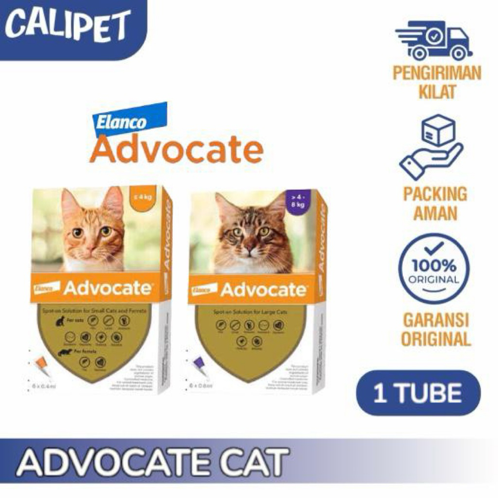 Advocate Cat Obat Kutu Tetes Ampuh Anti Fleas & Ticks untuk Kucing