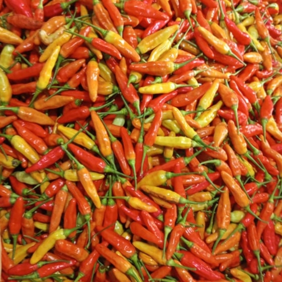 

1kg cabe rawit merah segar cabai fresh