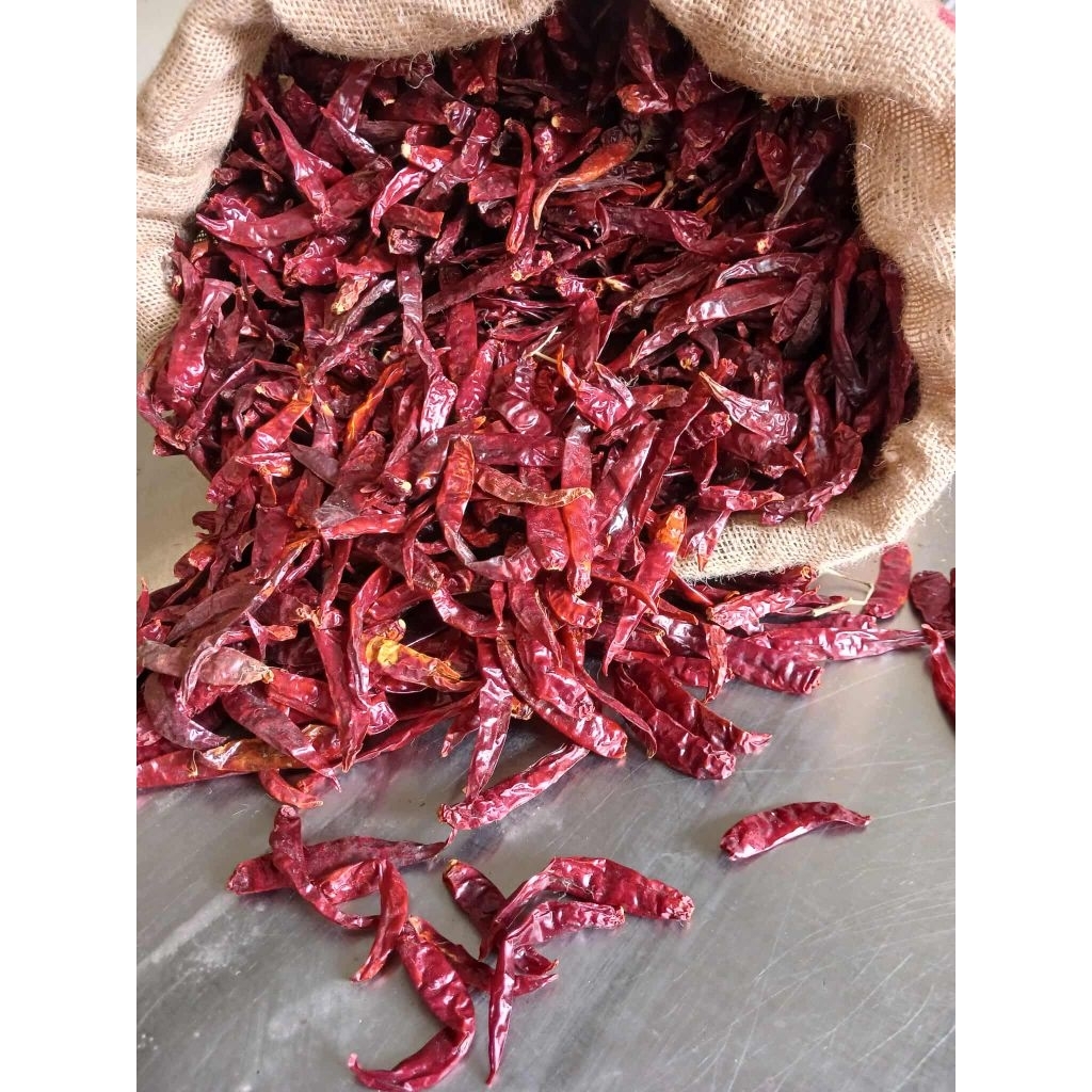 

cabe kering teja super premium tanpa tangkai (100g)