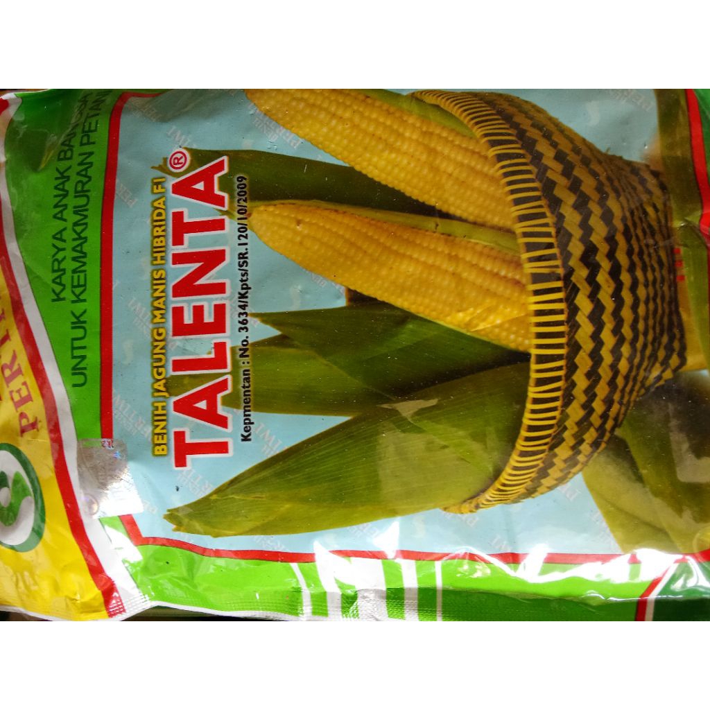 

jagung manis talenta