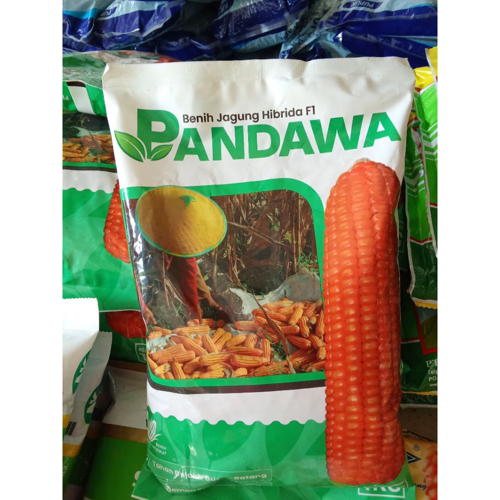 

jagung Pandawa 1 kg