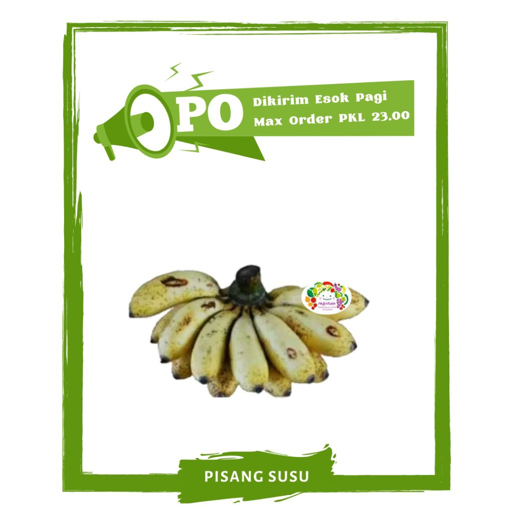 

Pisang Susu / Buah Buahan Segar PO Mallahrizwa