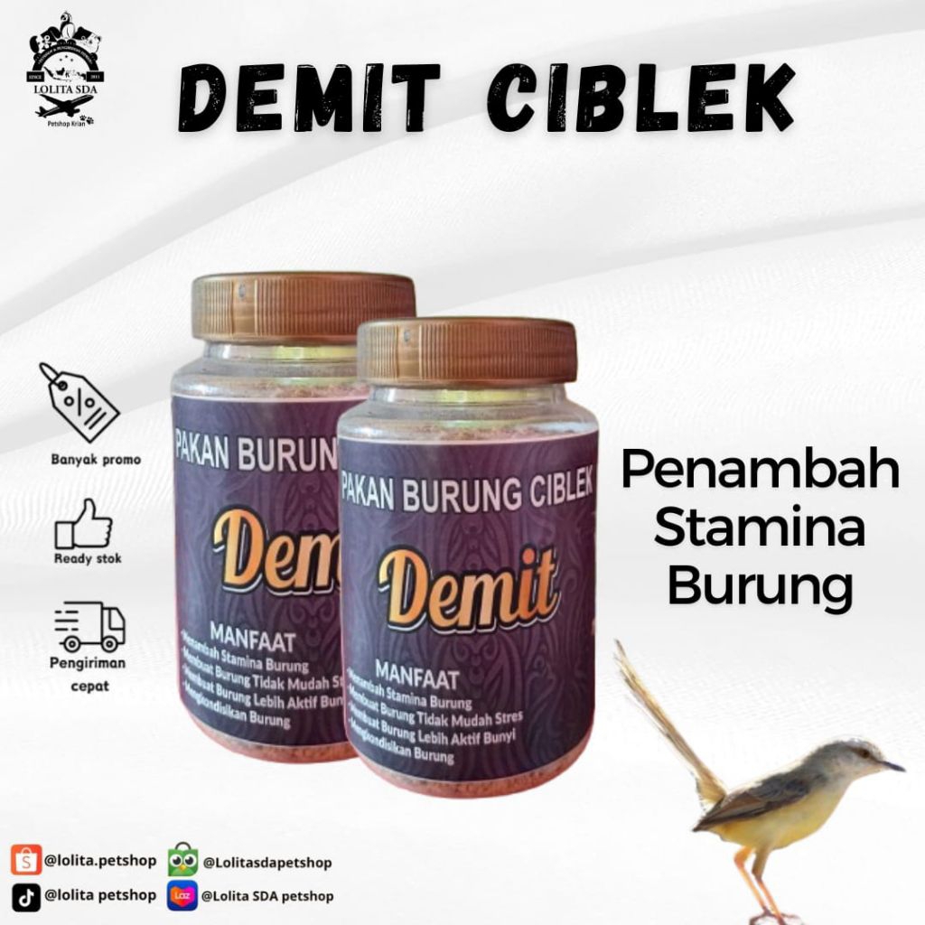 Pakan Burung Ciblek Demit