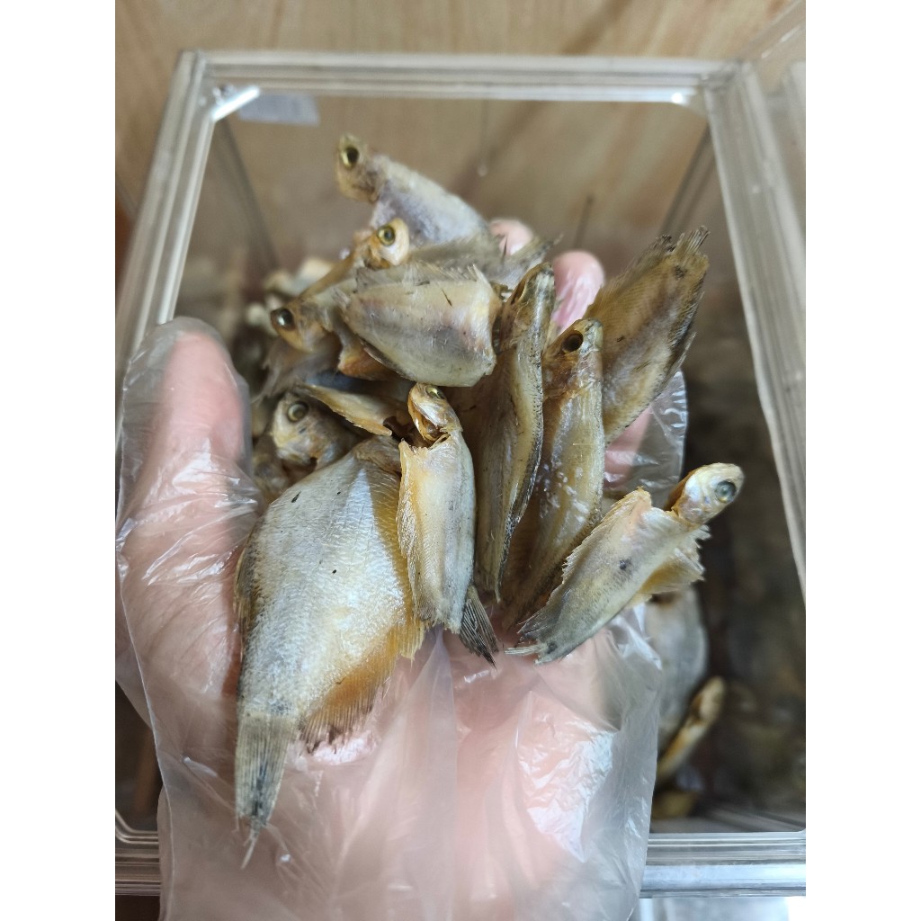 

Ikan Sepat Asin Khas Kalimantan – Lauk Kering Gurih & Tahan Lama