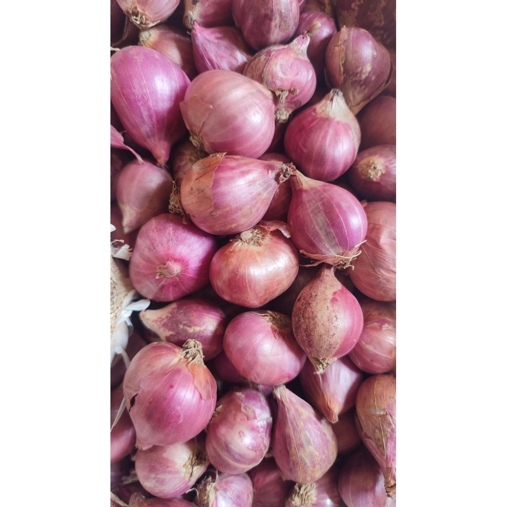 

Bawang Merah