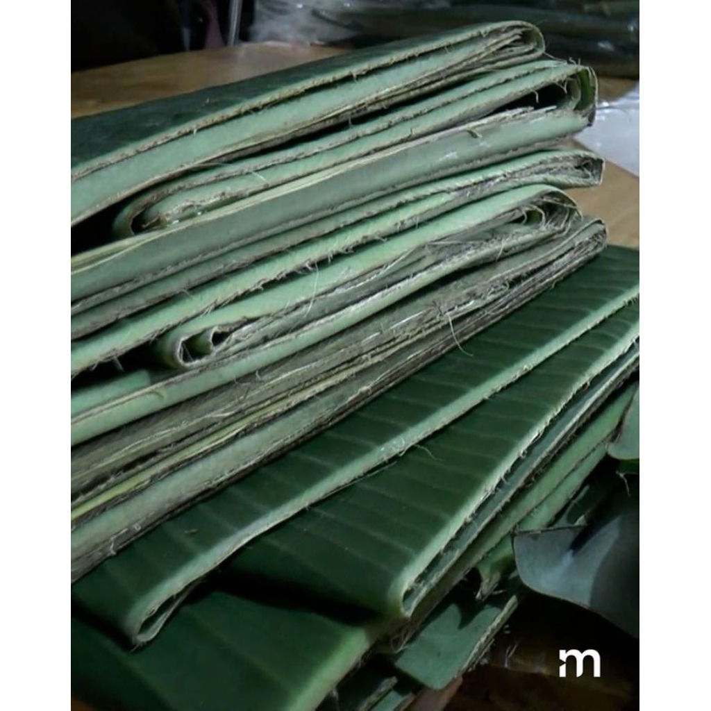 

Daun Pisang Segar – Untuk Bungkus Makanan, Tradisi & Dekorasi