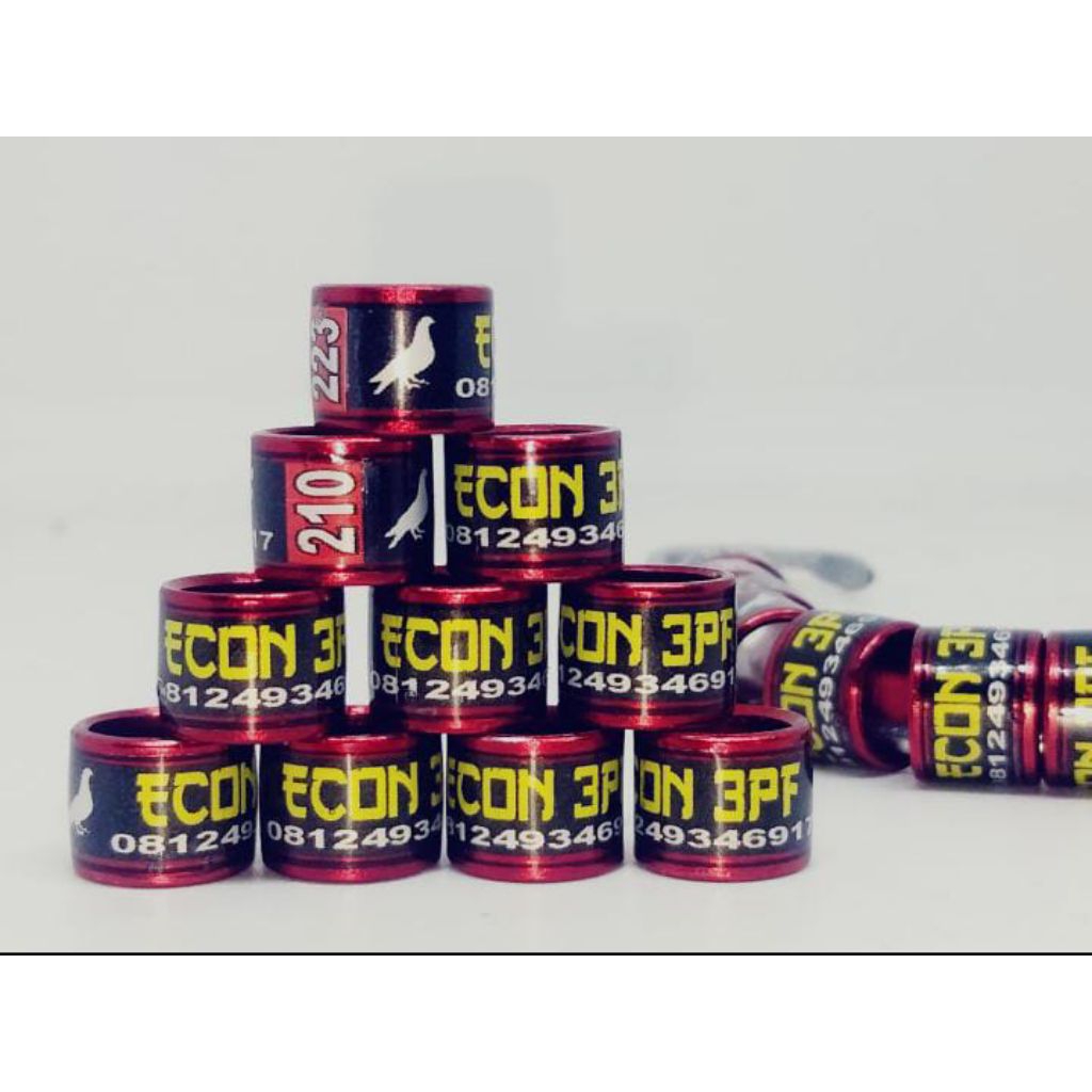 Ring burung merpati,murai,trocok bisa pesan nama,no dll