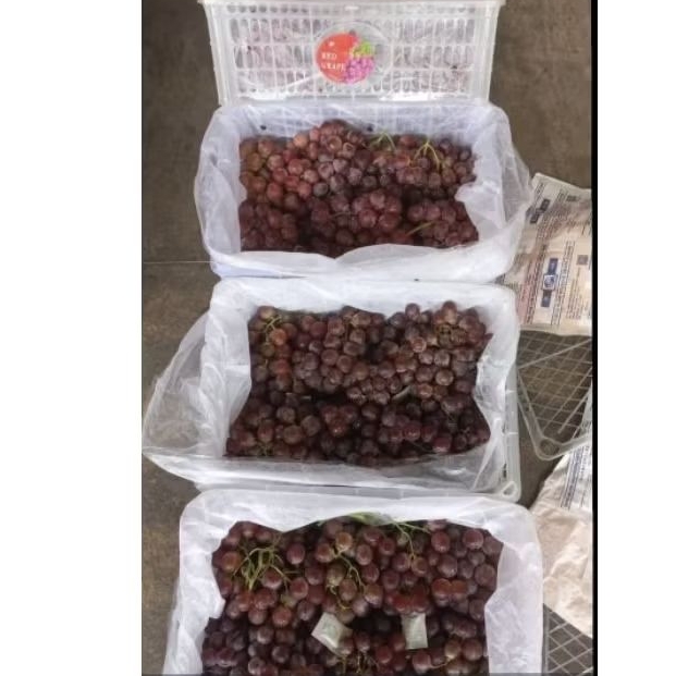 

Anggur Ungu RRC Red Grape berat 6,7 kg per dus per box keranjang Fresh Jogja