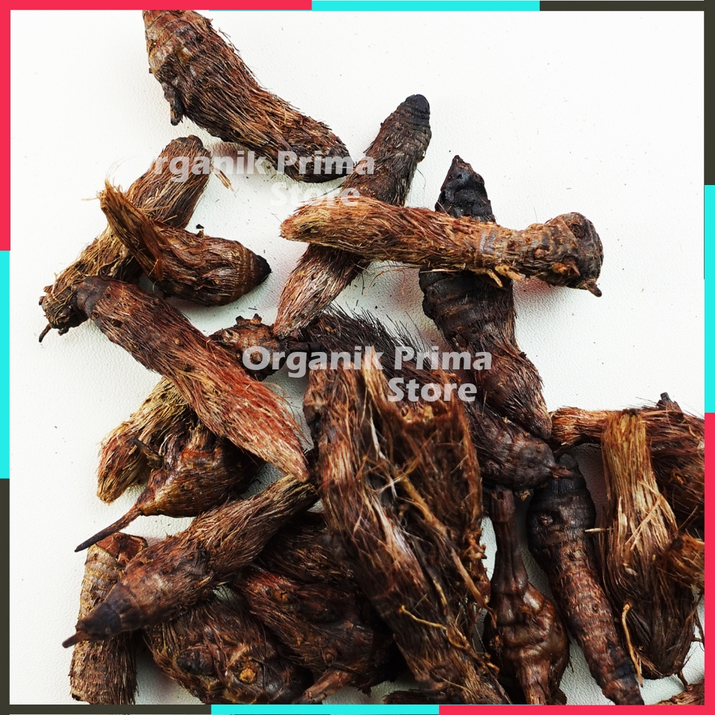 

Umbi Teki Kering 250gr Asli dan Organik