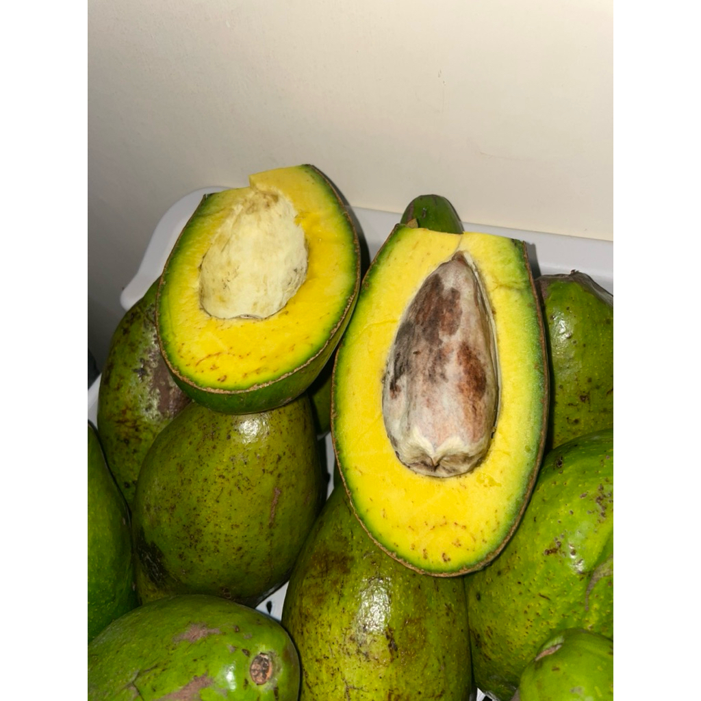 

Alpukat Siger Super 1 Buah