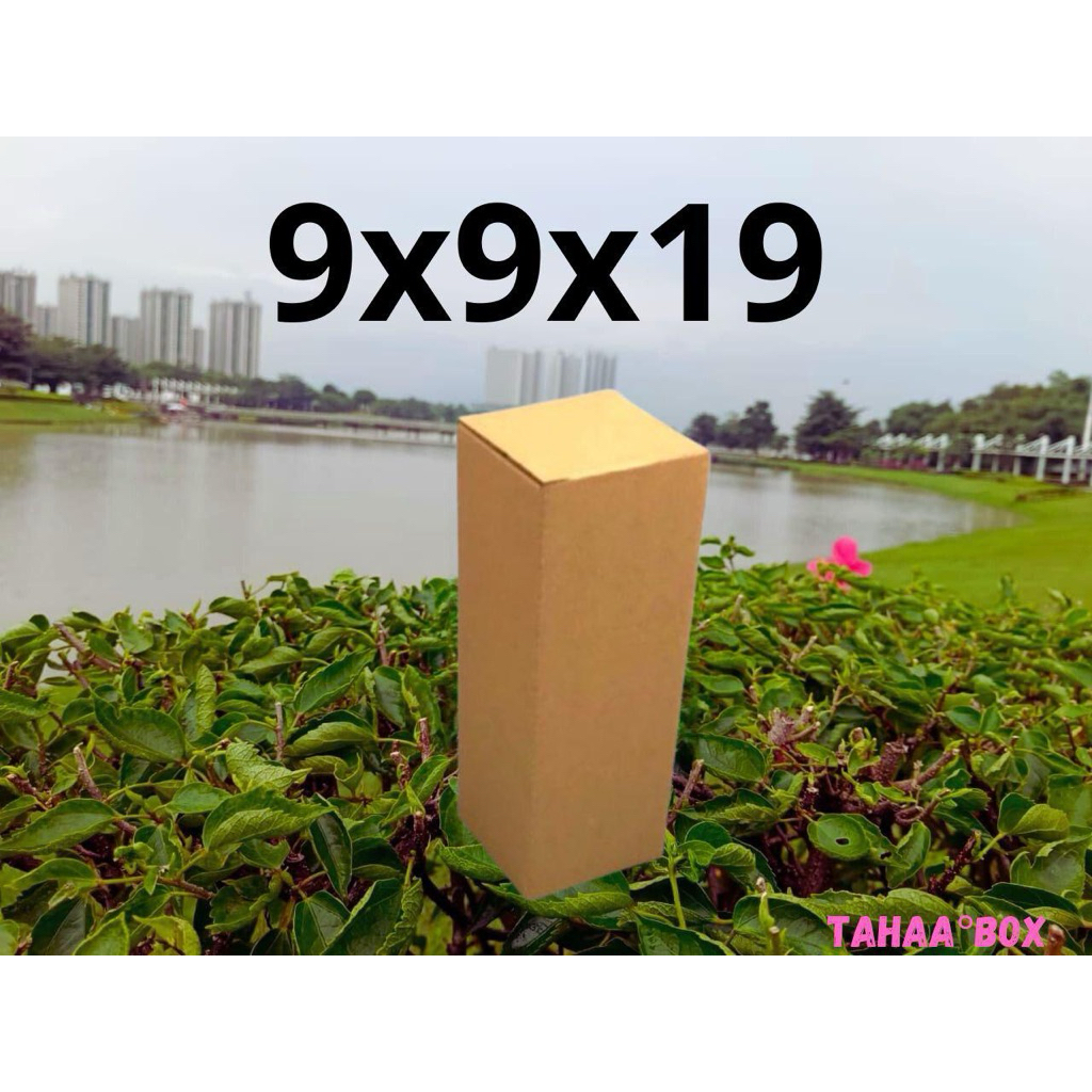 

kardus packing ukuran 9x9x19