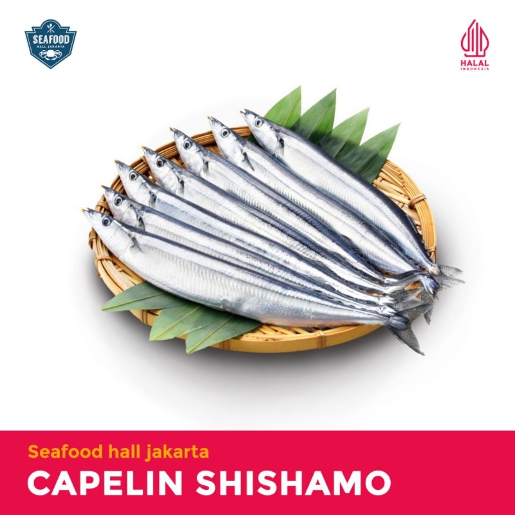 

Ikan Capelin Shishamo Bersih Siap Masak 1pack