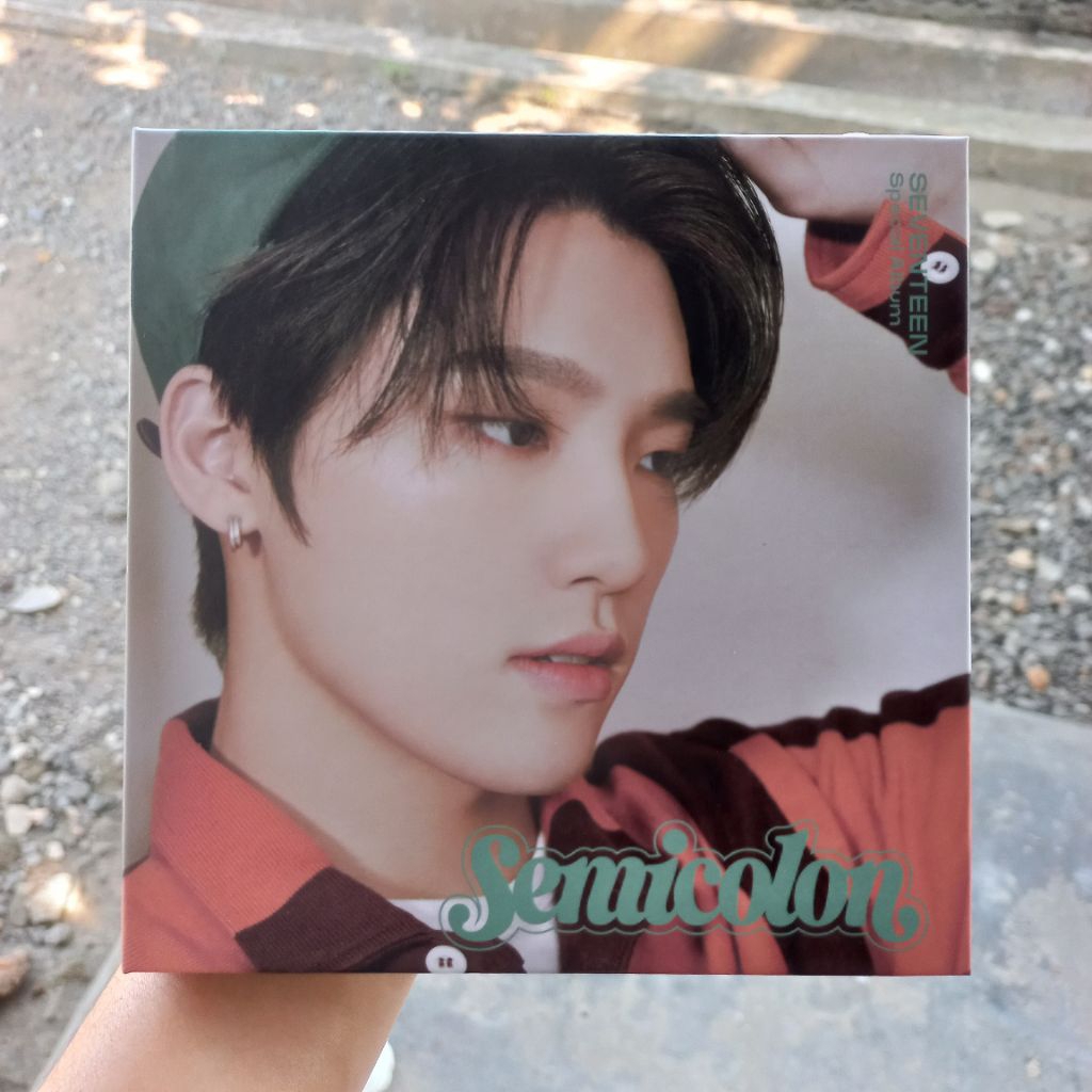 album seventeen semicolon dino