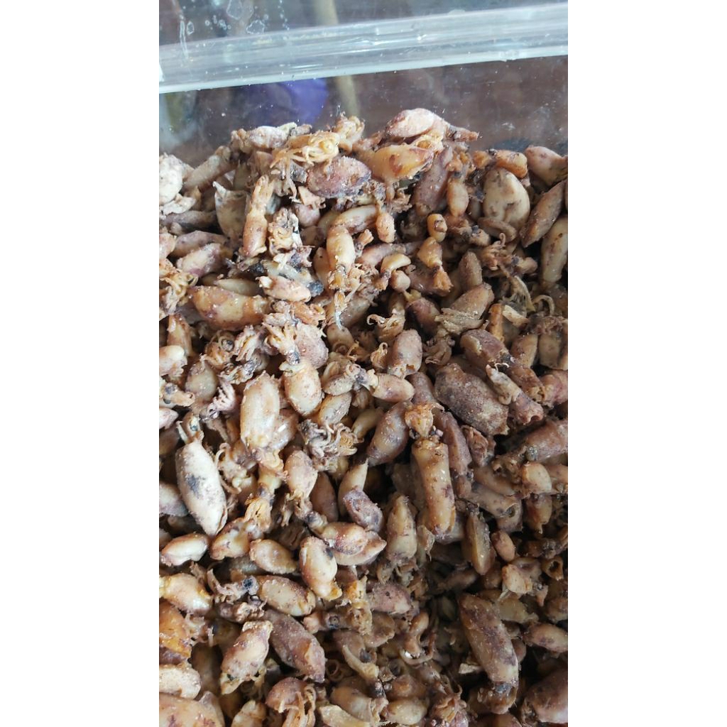 

baby cumi premium tanggung 1kg