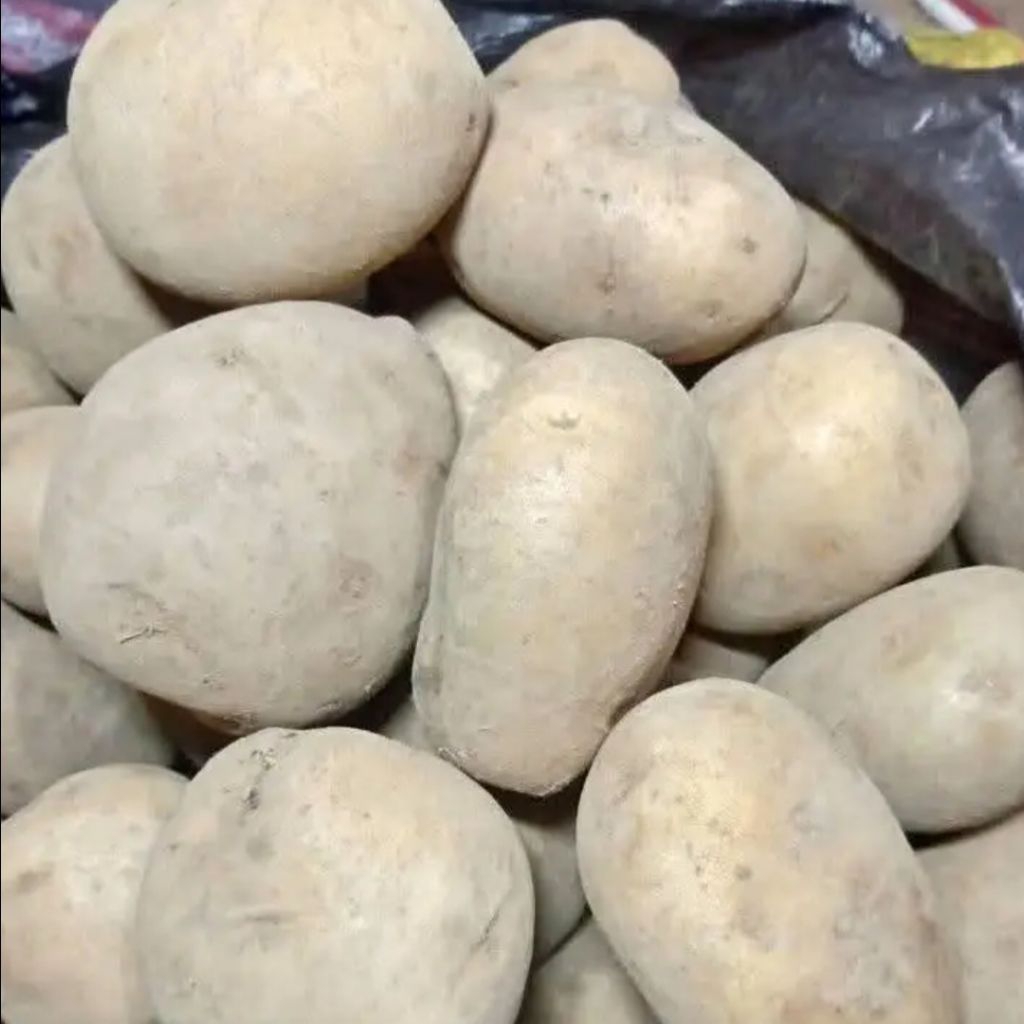 

kentang dieng fresh 1kg