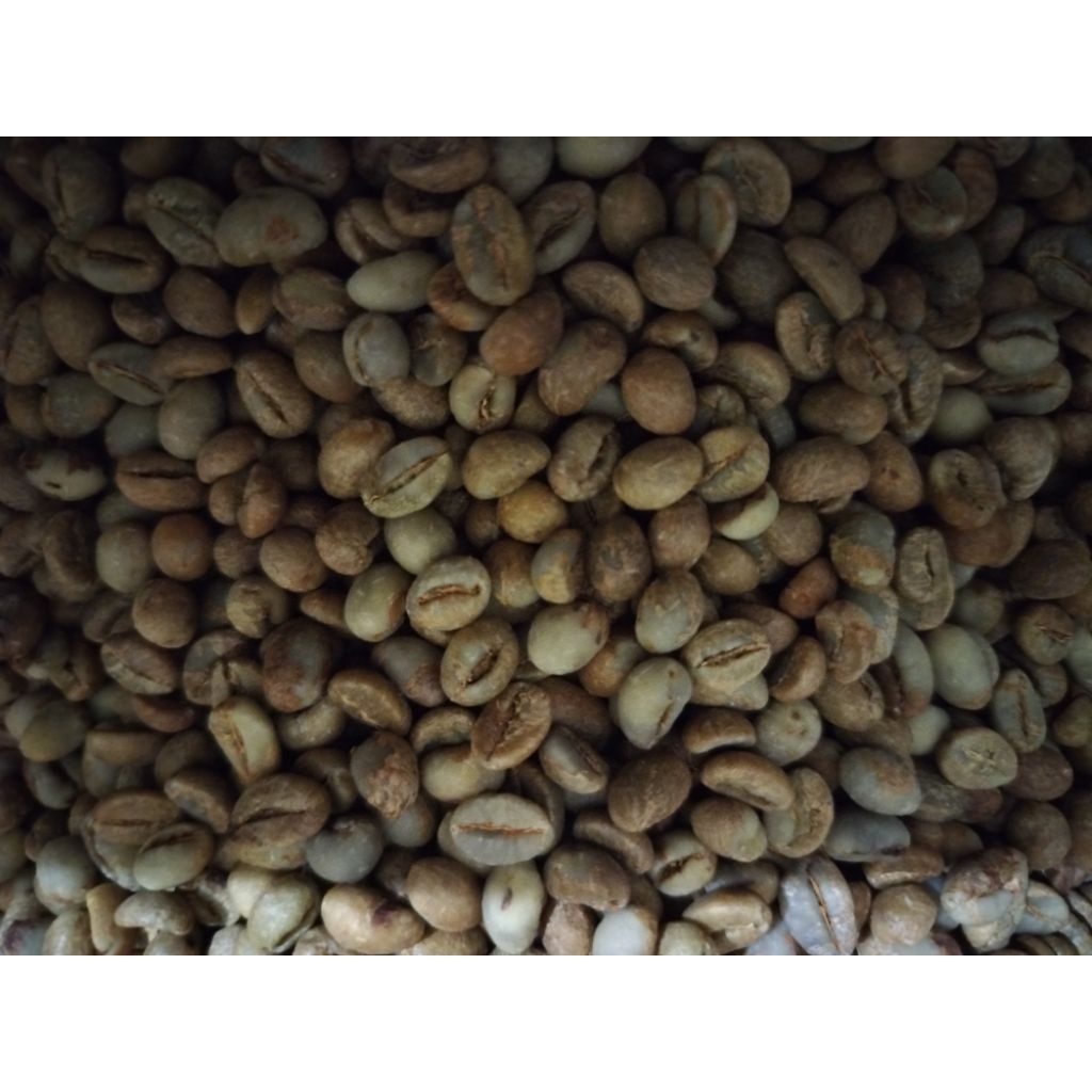 

Green Beans Robusta Pupuan Tabanan Bali - Asalan Sortir 1kg