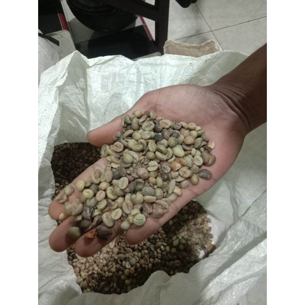 

Biji Kopi Robusta Mentah Asalan 1Kg – Green Bean Segar Harga Hemat