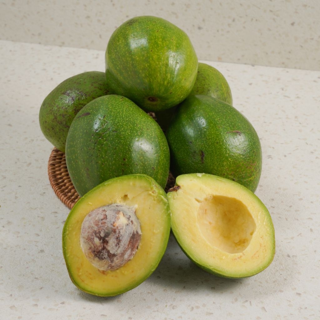 

Alpukat Mentega Reguler Bergaransi