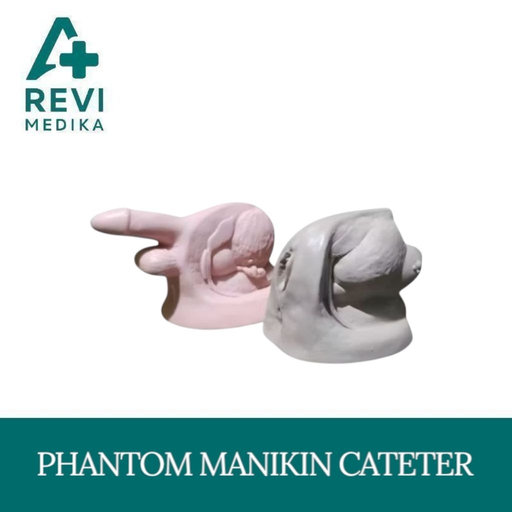 Phantom Manikin Cateter / Phantom Manekin Kateter