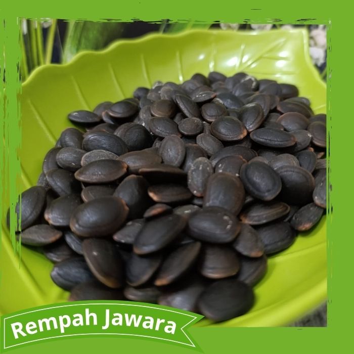 

Kedawung Biji Kedaung Asli Alami