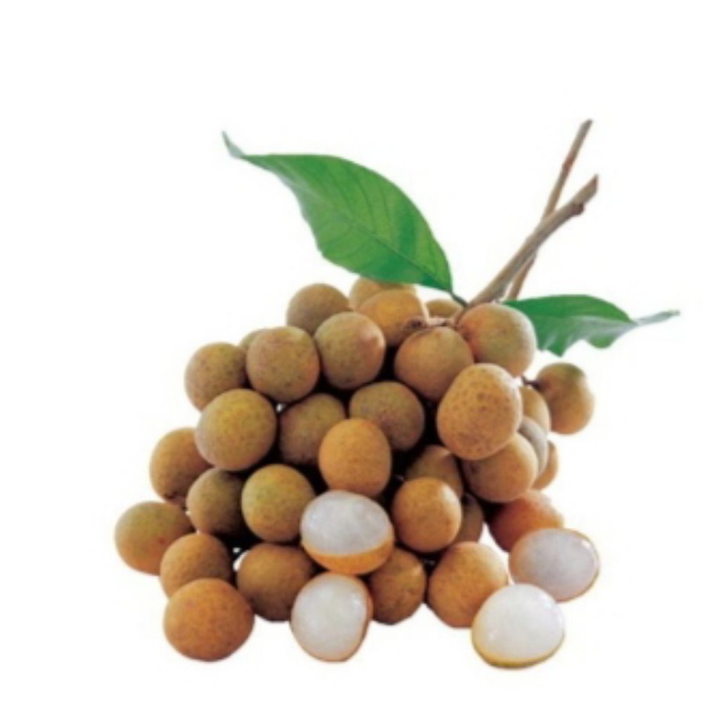 

longan gold
