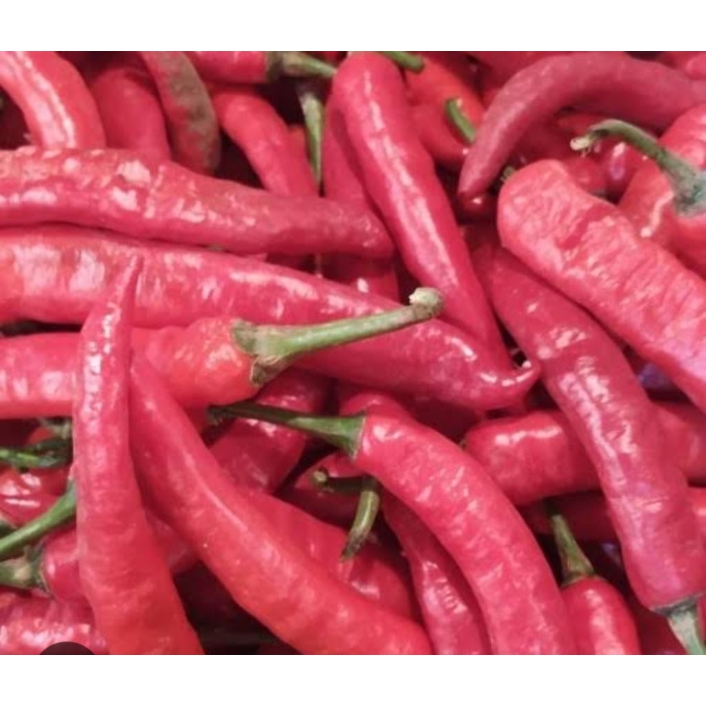 

cabe merah & hijau tanjung.100g,250g