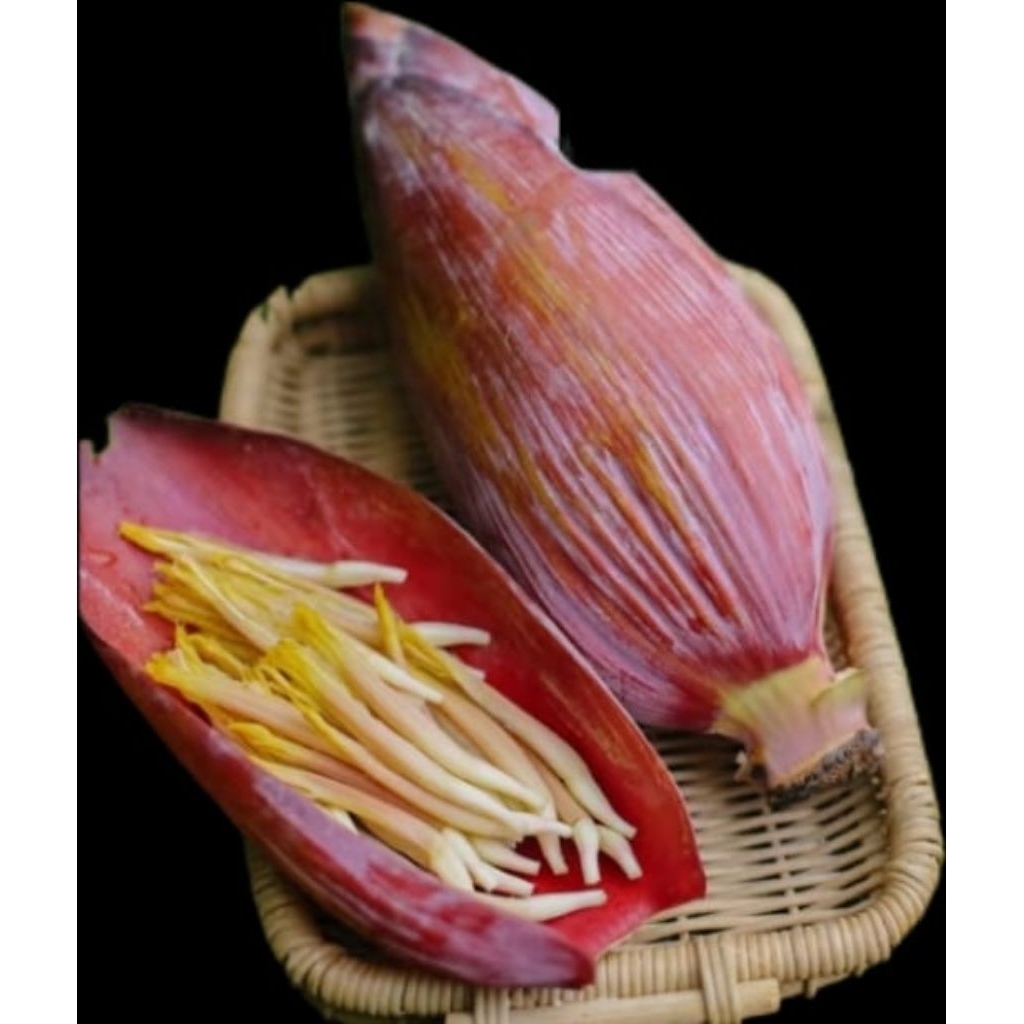 

Jantung Pisang Sayur Segar Perbuah Siap Otw Rendang