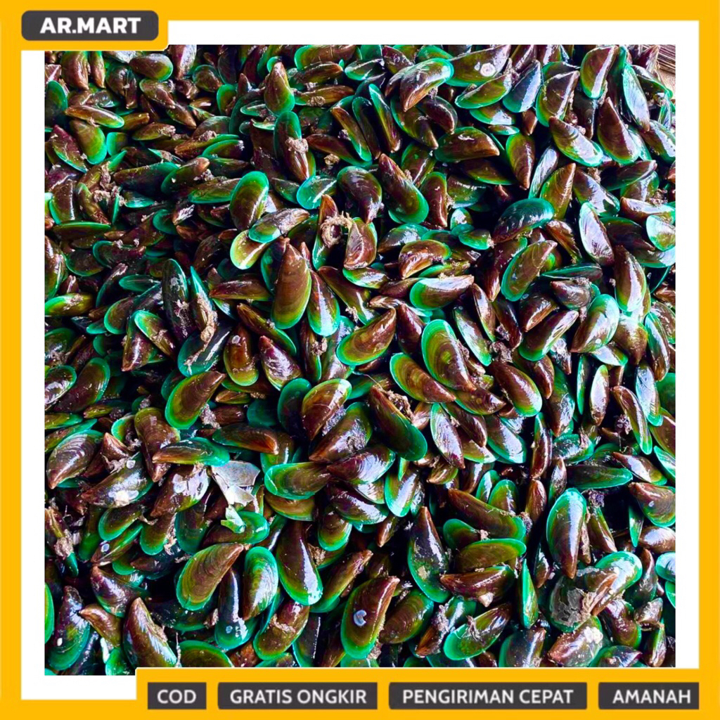 

Kerang HIJAU Segar 1 kg