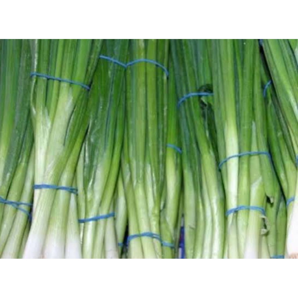 

daun bawang bersih 1 kg