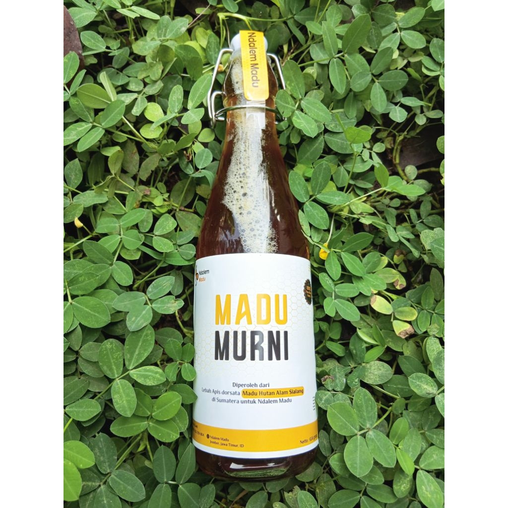 

Madu Hutan Murni 100% Raw Honey 650 gram Madu Hutan Sialang Lebah Apis Dorsata Botol Kaca