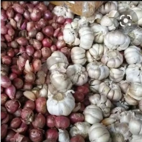 

Bawang Merah+bawang Putih bulat 500gr