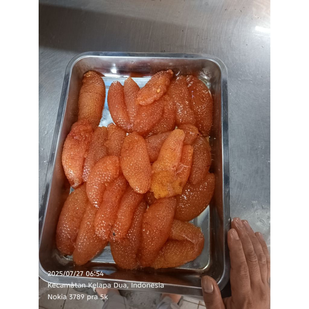 

telur sembilang 250gr