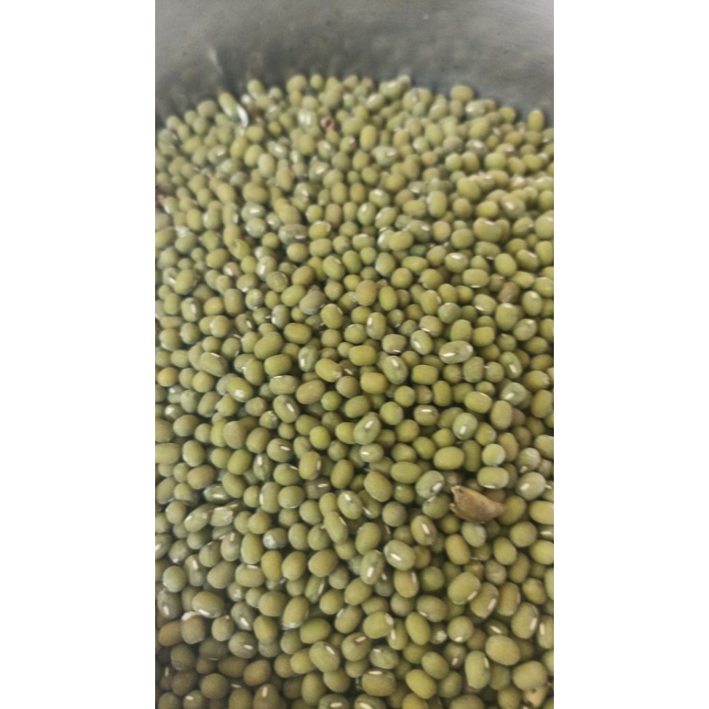 

kacang ijo 1kg