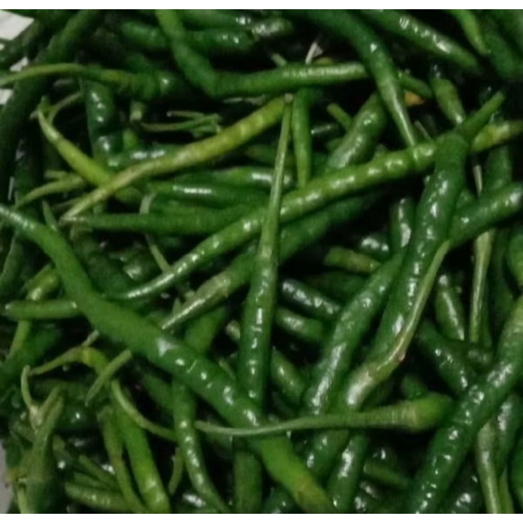 

Cabe Hijau Keriting 500 Gram