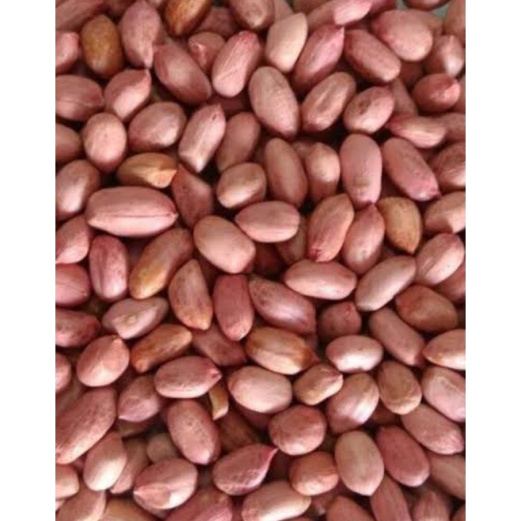 

kacang tanah kupas/ kacang tanah kering jemur