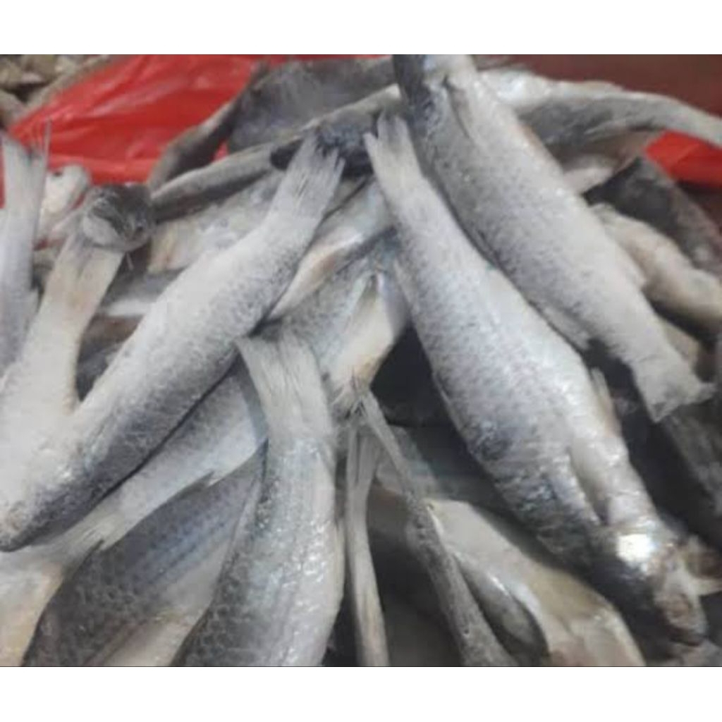 

ikan asin padhet gere