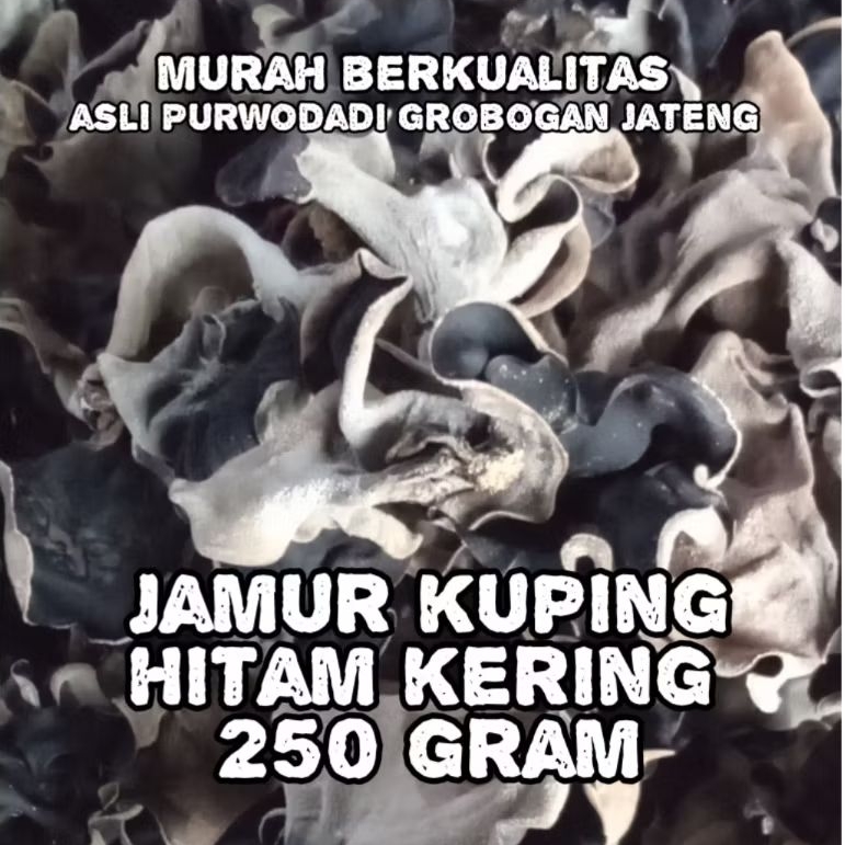 

JAMUR KUPING HITAM KERING 250gram ASLI PRODUK PURWODADI GROBOGAN JATENG