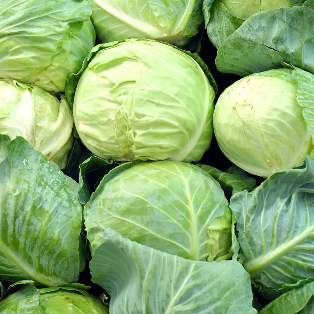 

Kol (Kubis) Sayur Segar 500g / 1 kg