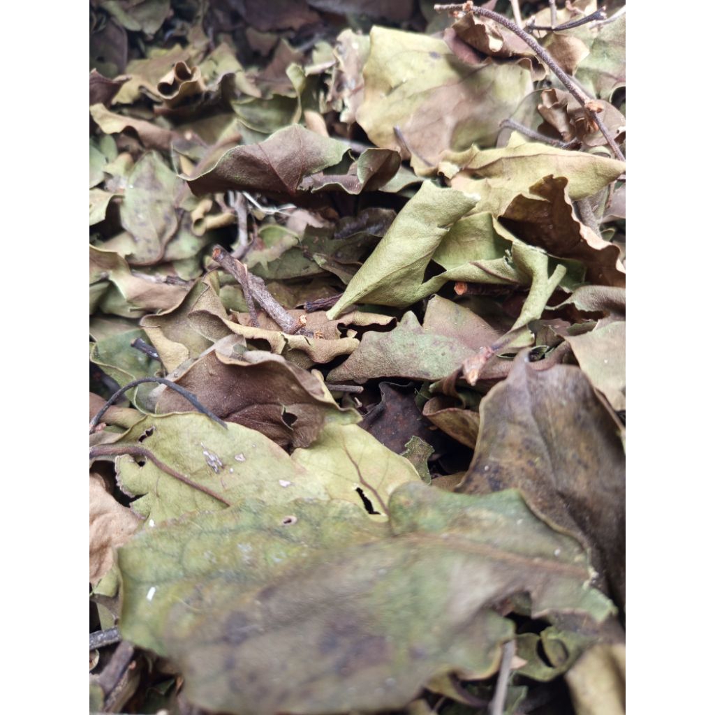 

Benalu Cengkeh Kering 500 gram