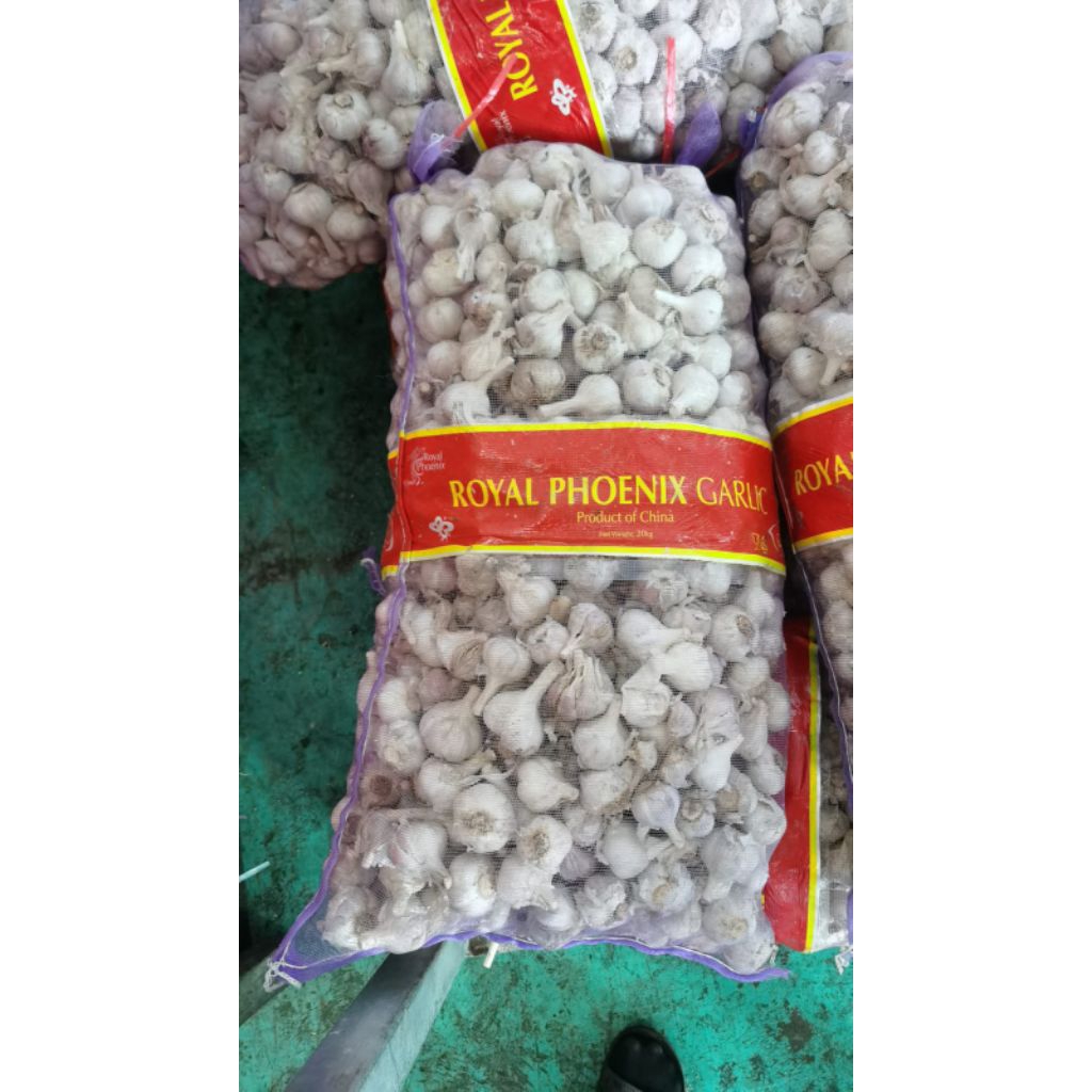 

BAWANG PUTIH KATING KARUNGAN 20KG – HARGA MURAH (SIAP KIRIM!)