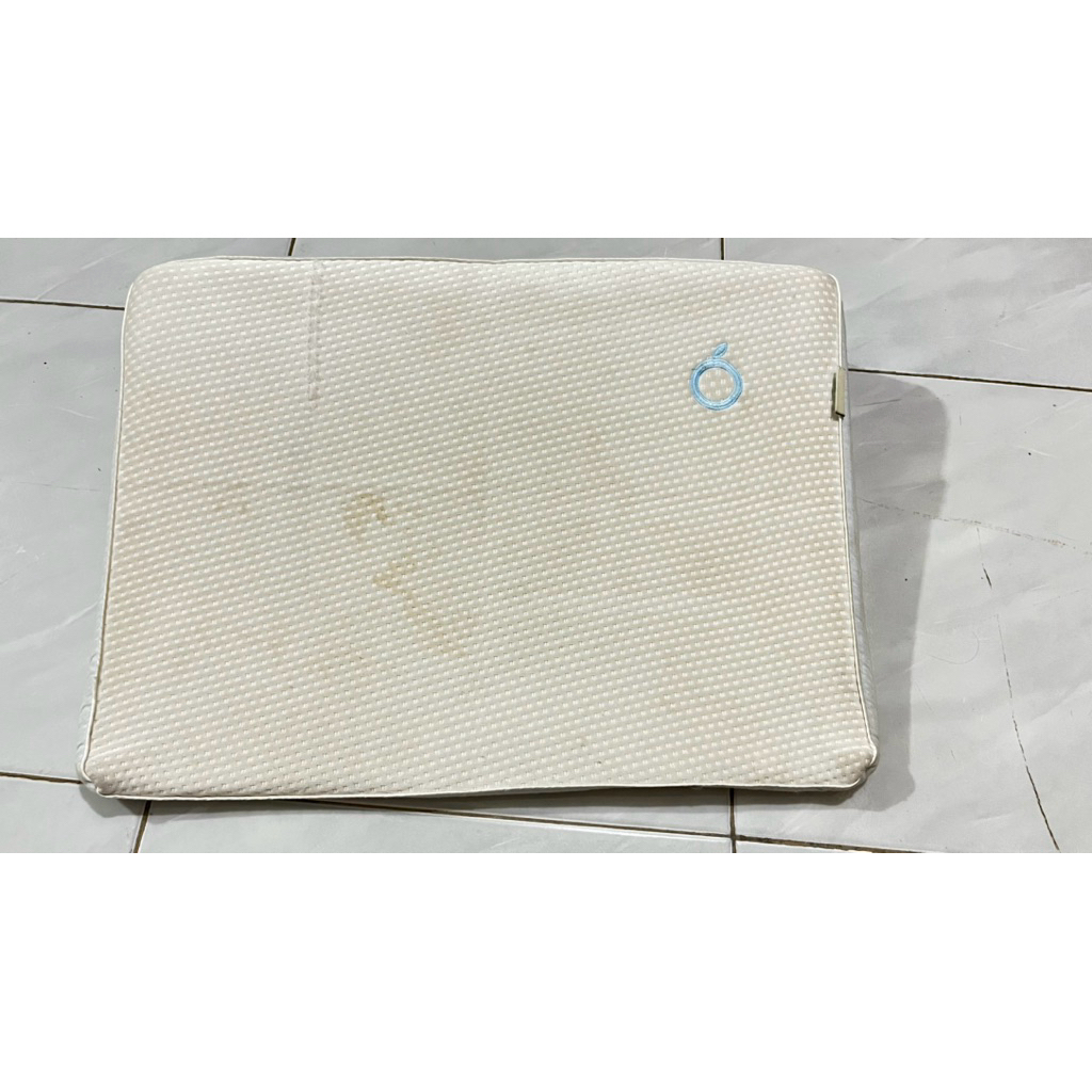 PRELOVED DOOGLEE WEDGE PILLOW