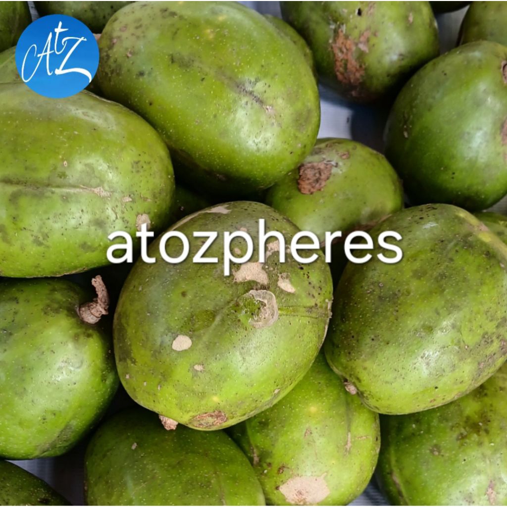 

Buah kedondong dondong kedongdong dongdong ukuran besar segar pilihan fresh 1kg